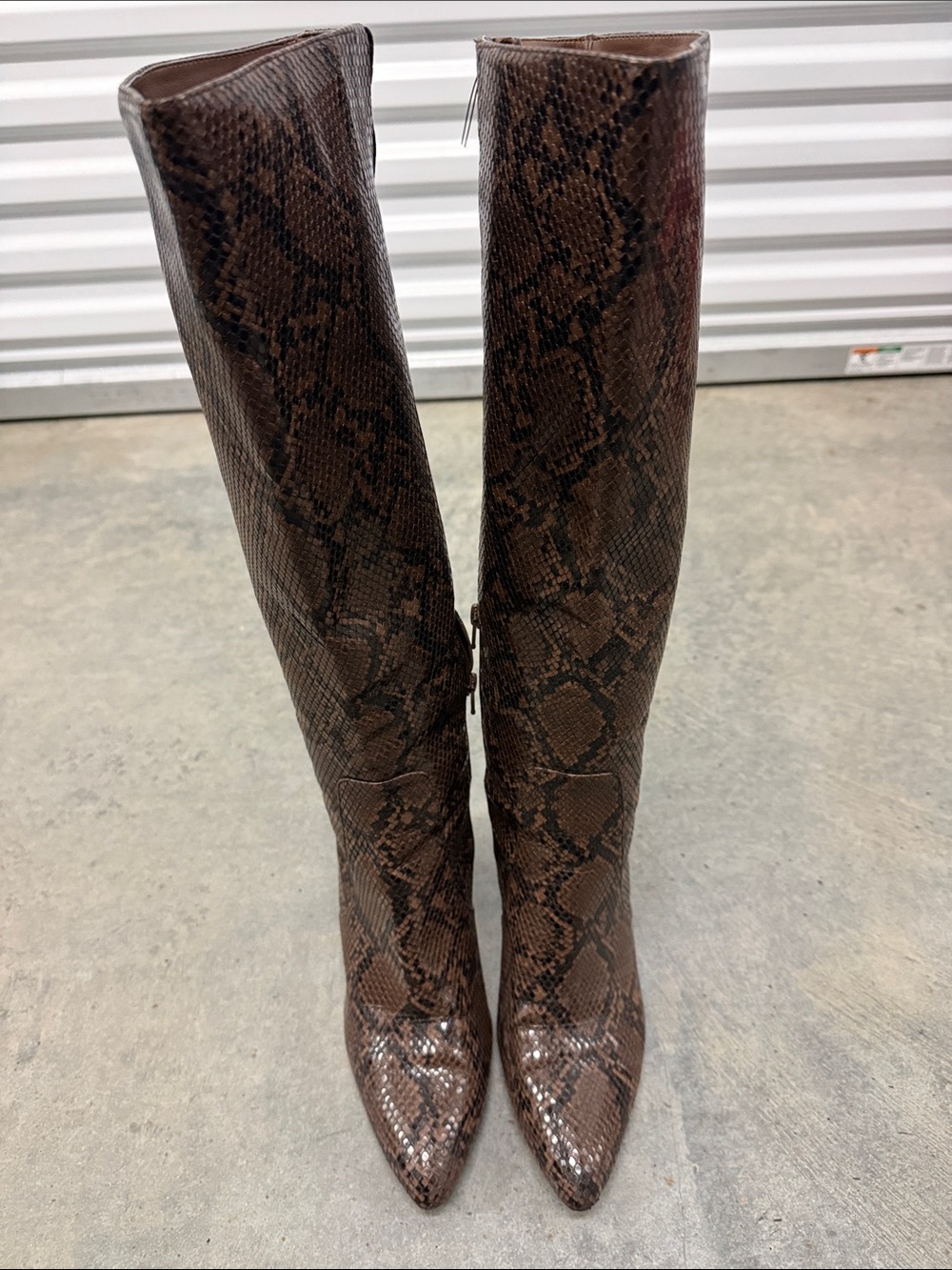 14th & Union Brown Snake-Print Knee-High Pointed Toe Boots